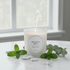 Peppermint Soy Wax Candle in frosted white jar with fresh mint leaves and eucalyptus